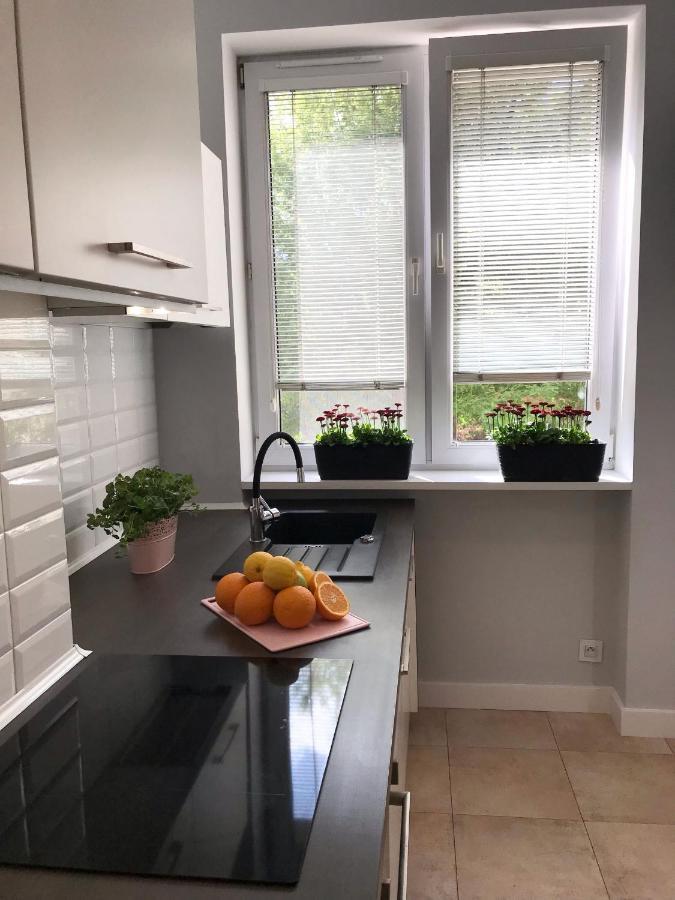 Klimatyczny Apartament Pod Ratuszem -Ul. Slaska 2 Częstochowa Exterior foto
